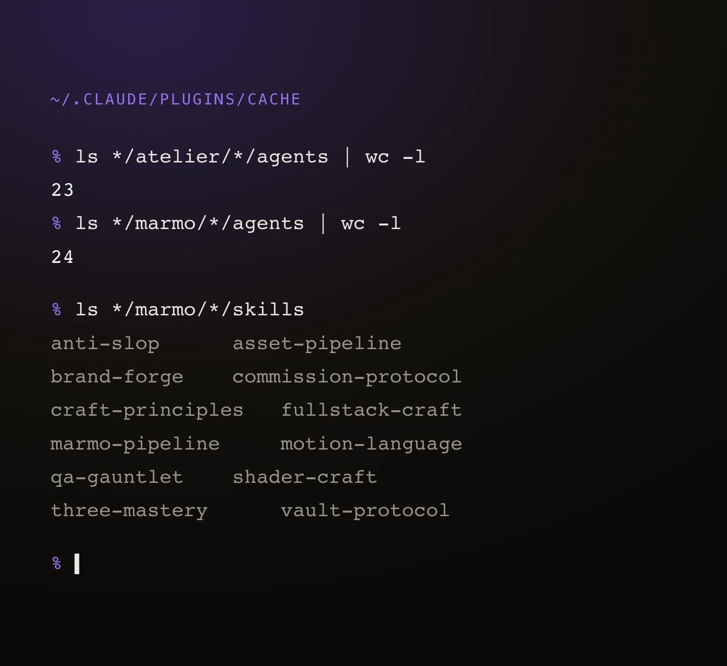 Terminal: iki eklentinin kurulu ajan ve beceri listesi.